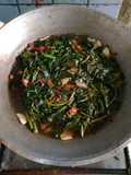 Cah kangkung murah meriah