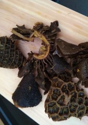Foto resep Babat goreng jangkep