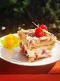 Himbeer-Tiramisu (ohne Ei, Kaffee und Alkohol)