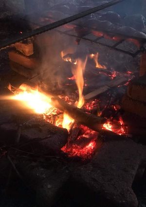 صورة لوصفة دجاج مشوي