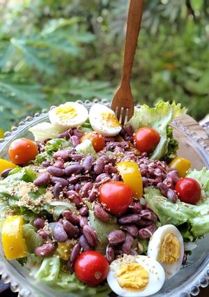 Foto resep Colourful Salad #My diabetic meal