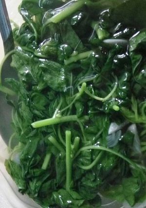 Foto resep Sayur bayam bening