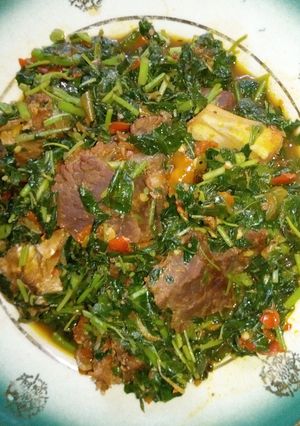 A picture of Alayyahu(spinach soup).