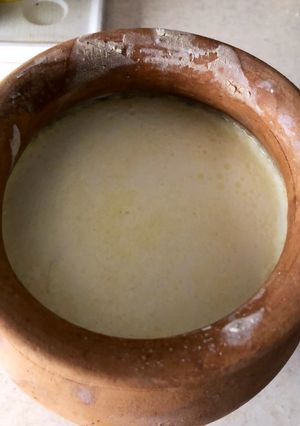 عکسی از دستور ماست خونگی