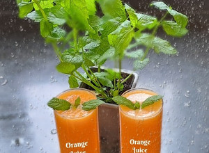 A picture of 🍹🍊Orange Juice🍊🍹.