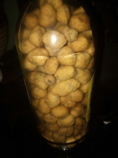 A picture of Peanut.