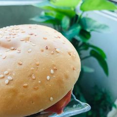 A picture of Chicken Classic burger.