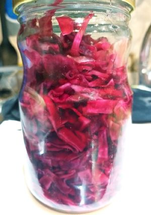 عکسی از دستور ترشی کلم بنفش