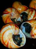Mike's Escargots À La Bourguignonne & Parsley Salad