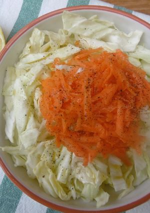 A picture of Lemon Tasty Grated Cabbage & Carrot Salad.