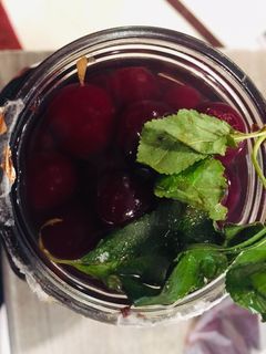 عکسی از دستور ترشی آلبالو