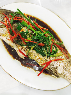 Foto resep Tim ikan kerapu ala Hongkong