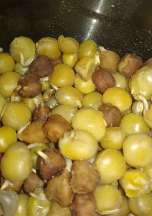 A picture of Sprouted yellow peas and chana.