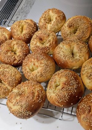 A picture of Montreal Bagels (Better then New York's!).