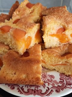 Aprikosenkuchen Rezepthauptbild