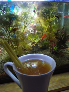 Foto resep 24. Teh Jahe Sereh