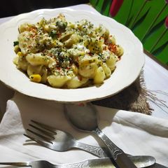 White sauce Conchiglie Shell pasta A picture of White sauce Conchiglie Shell pasta.