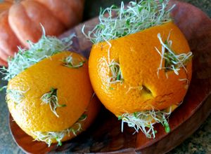 Foto de Salada de broto de feijão na laranja - Halloween