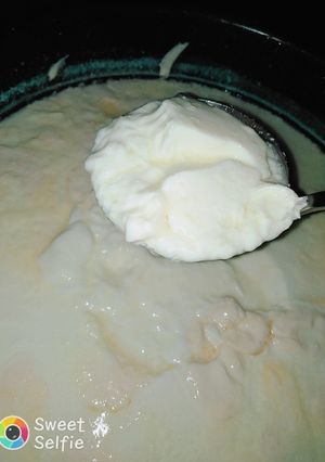صورة لوصفة لبن بلدي بيتي
