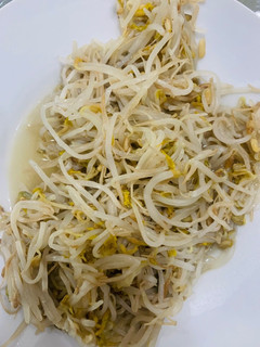 清炒豆芽菜 的食譜成品照片