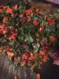 “Beefy” Beefless Swiss Chard Recipe