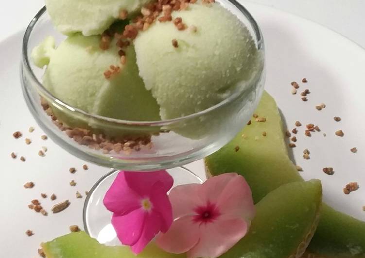 Helado de melón elaborado con la Monsieur Cuisine Plus