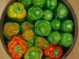 دلمه فلفل دلمه ای