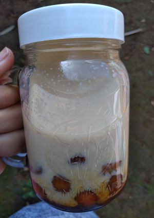 Foto resep Brown Sugar Boba Milk