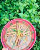 Canh chân gà hầm đậu phộng 🥜🥜