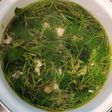 Canh rau má nấu thịt nạc xay