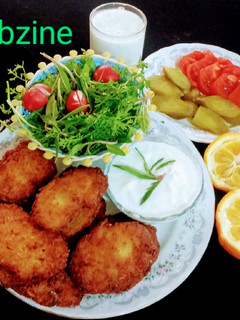 عکسی از دستور شامی کباب