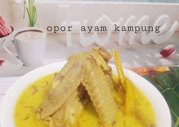 Opor ayam kampung