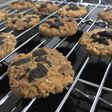 Choco chips cookies