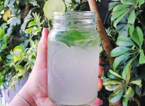 Una foto de Mojito 🍋🍹