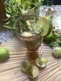 🍋🍸Virgin 🐞🌿🍡🧋Mojito cocktail 🍹🌱