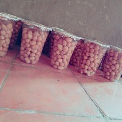 A picture of Milk flavour peanut.