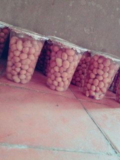 A picture of Milk flavour peanut.