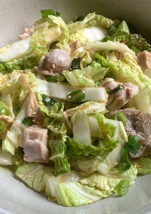 A picture of Wombok & Chicken Salad with Sesame Dressing.