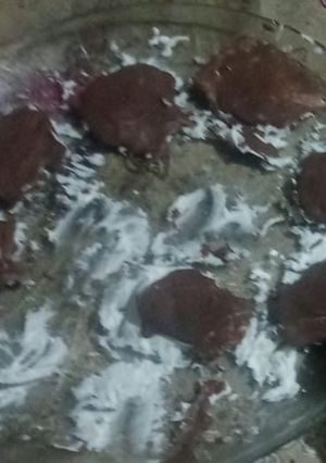 Una foto de Mentitas de chocolate