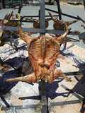 Cabrito lechal asado
