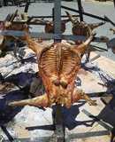 Cabrito lechal asado
