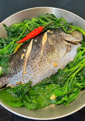 Hình của món Cá Dìa Hấp Rau Mồng Tơi.