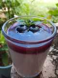 Panna cotta de coco con coulis de blueberry