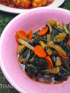 Foto resep Tumis sawi wortel labu siam kacang panjang