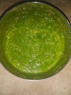 લીલી ચટણી (Green Chutney Recipe In Gujarati) રેસીપી મુખ્ય ફોટો