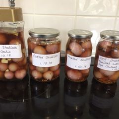 Pickled shallots A picture of Pickled shallots.