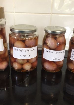 A picture of Pickled shallots.