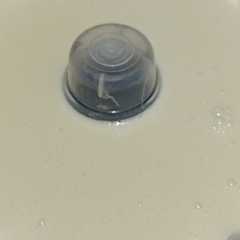 A picture of Puding Keju.