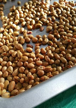 Foto resep kedelai oven