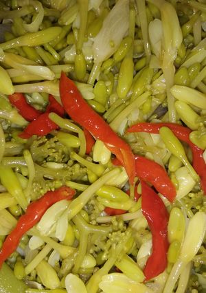Foto resep Tumis bunga kates endezzzz